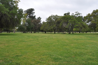 SNAKE ROAD AREA 1