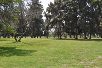 SNAKE ROAD AREA 2