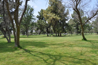 Enlarge photo 10