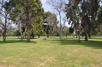 Enlarge photo 13