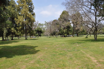 Enlarge photo 14