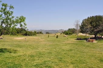 ELYSIAN PARK
