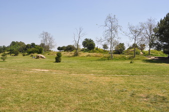 Enlarge photo 6
