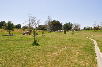 Enlarge photo 11
