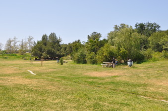 Enlarge photo 15