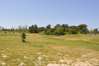Enlarge photo 17