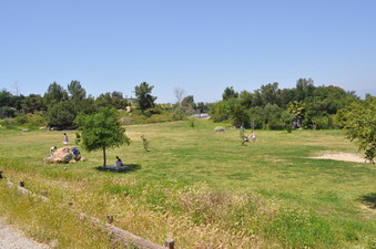 Enlarge photo 20