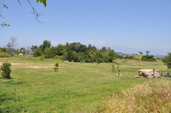 Enlarge photo 21