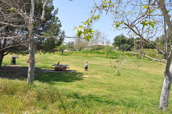 Enlarge photo 22