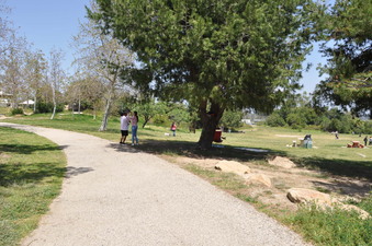 Enlarge photo 24