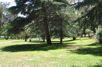 Enlarge photo 3