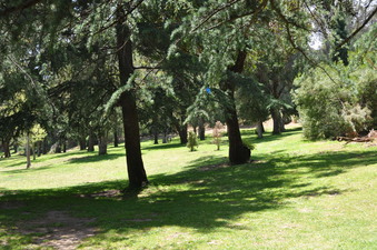 Enlarge photo 4