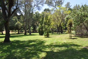 Enlarge photo 6