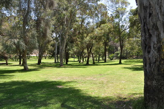 Enlarge photo 9