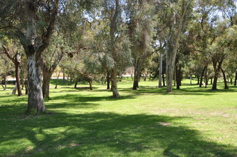 Enlarge photo 10