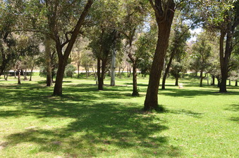 Enlarge photo 12