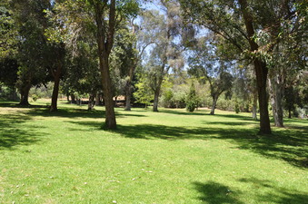 Enlarge photo 14