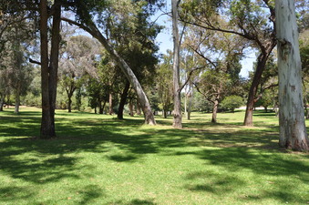Enlarge photo 15