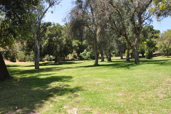 Enlarge photo 18