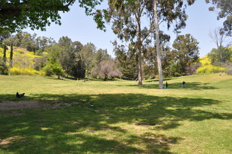 PARK AVE. PARK