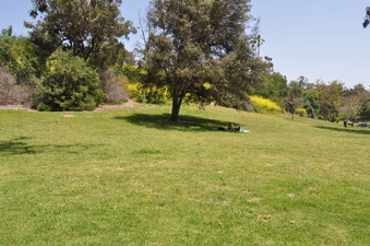 Enlarge photo 9