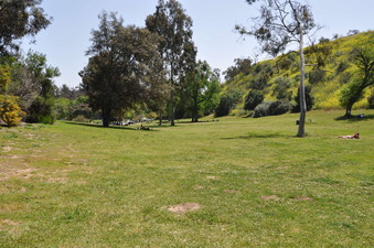Enlarge photo 13