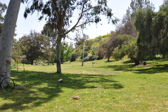 Enlarge photo 15
