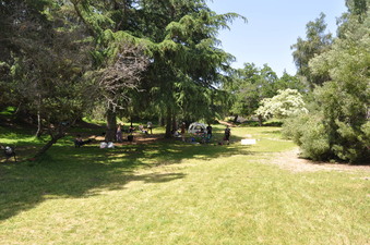 Enlarge photo 16