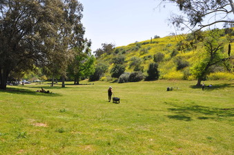 Enlarge photo 17