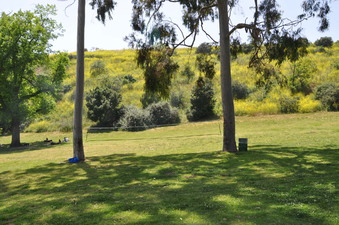 Enlarge photo 18