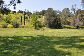 Enlarge photo 19