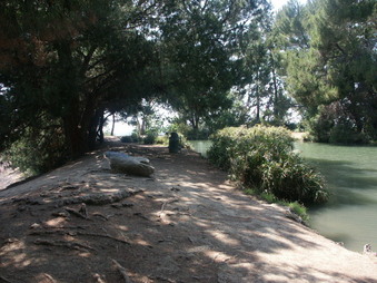 ERNEST DEBS PARK - LAKE AREA