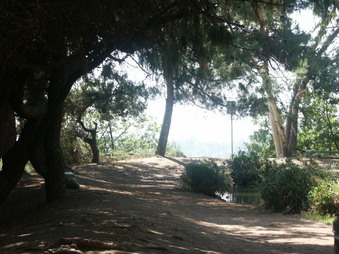 Enlarge photo 10