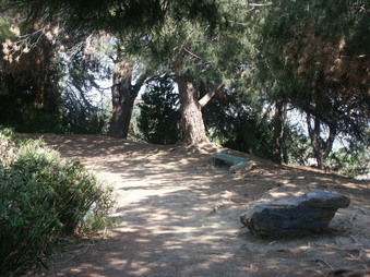 Enlarge photo 14