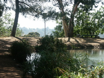Enlarge photo 16