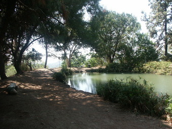 Enlarge photo 19