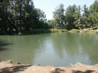 Enlarge photo 2