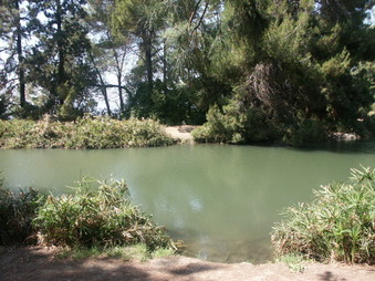 Enlarge photo 20