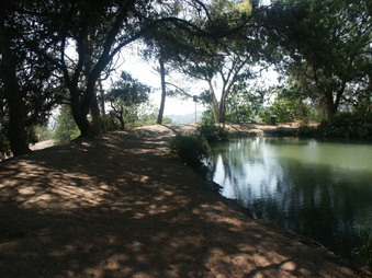 Enlarge photo 23
