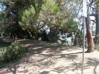 Enlarge photo 27