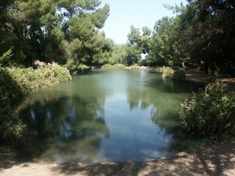 Enlarge photo 28