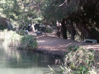 Enlarge photo 29
