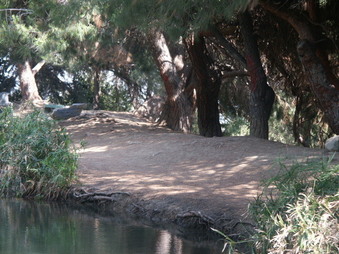 Enlarge photo 32