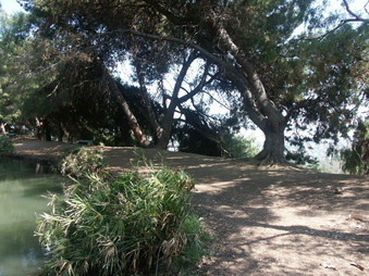 Enlarge photo 34