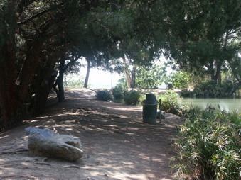 Enlarge photo 4