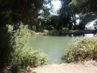 Enlarge photo 35