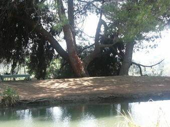Enlarge photo 37