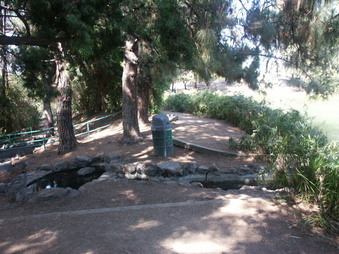 Enlarge photo 41
