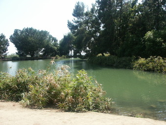 Enlarge photo 50