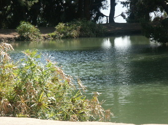 Enlarge photo 53